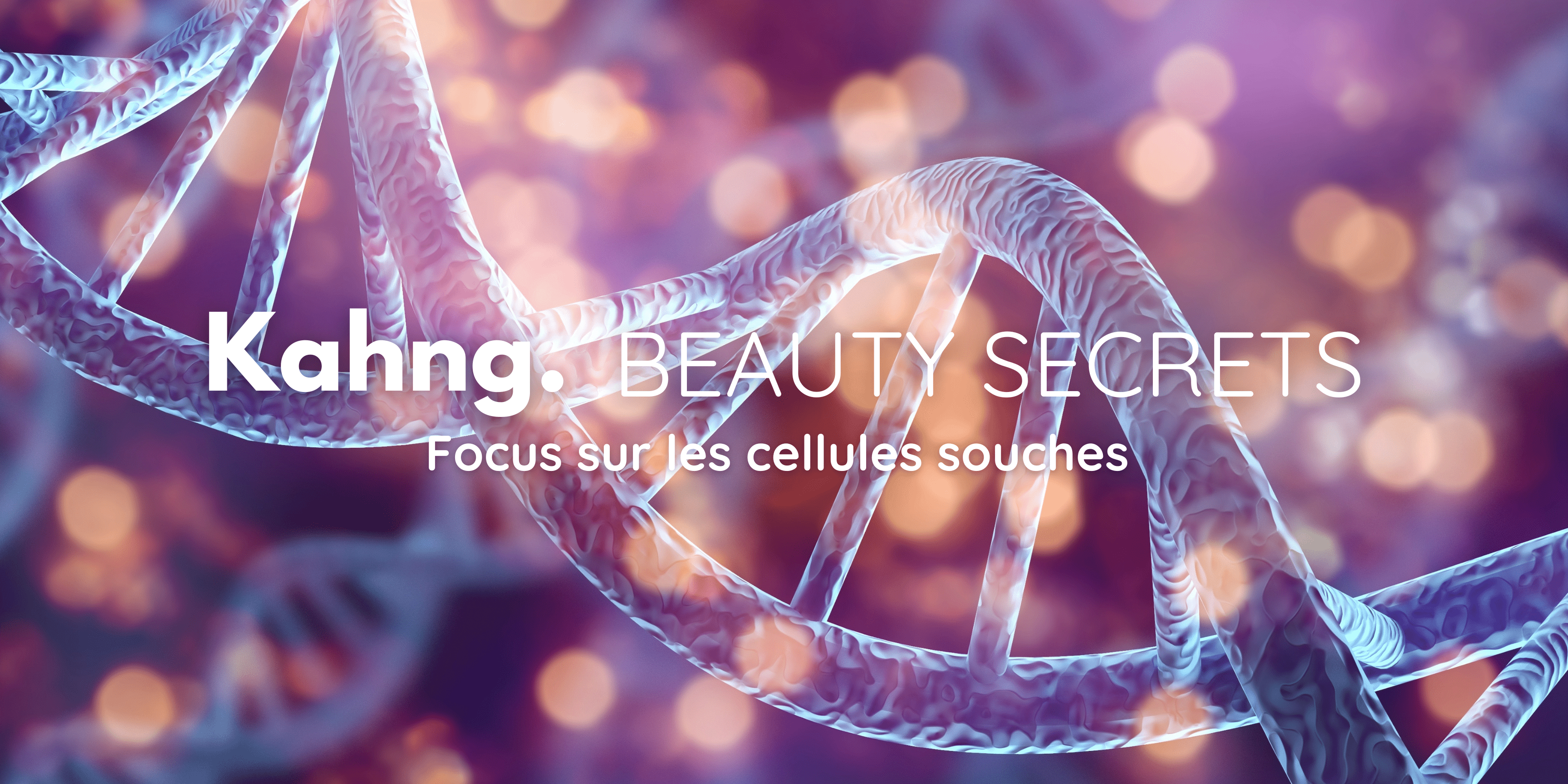 Focus sur les cellules souches et k-beauty - Kahng