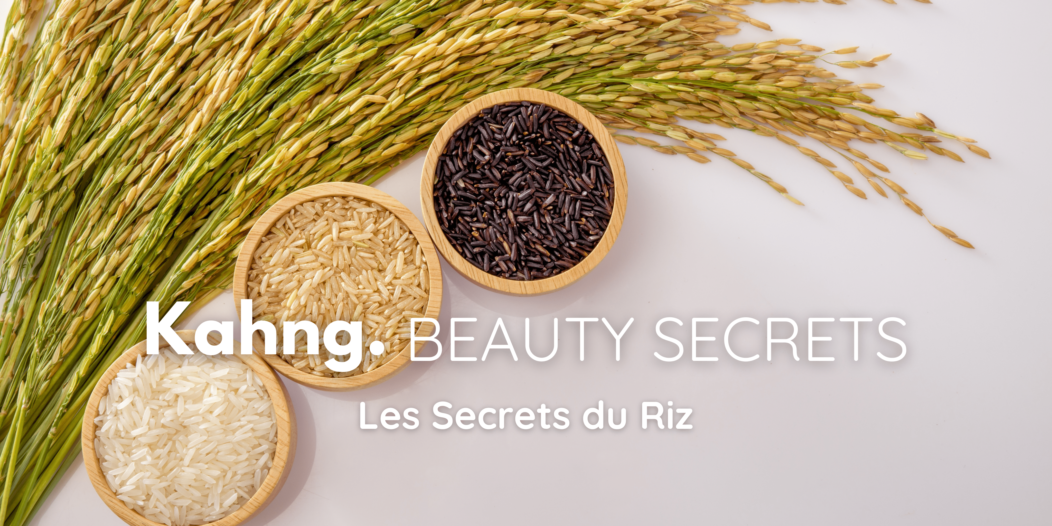 Les Secrets du Riz : Trésors de la K-Beauty - Kahng