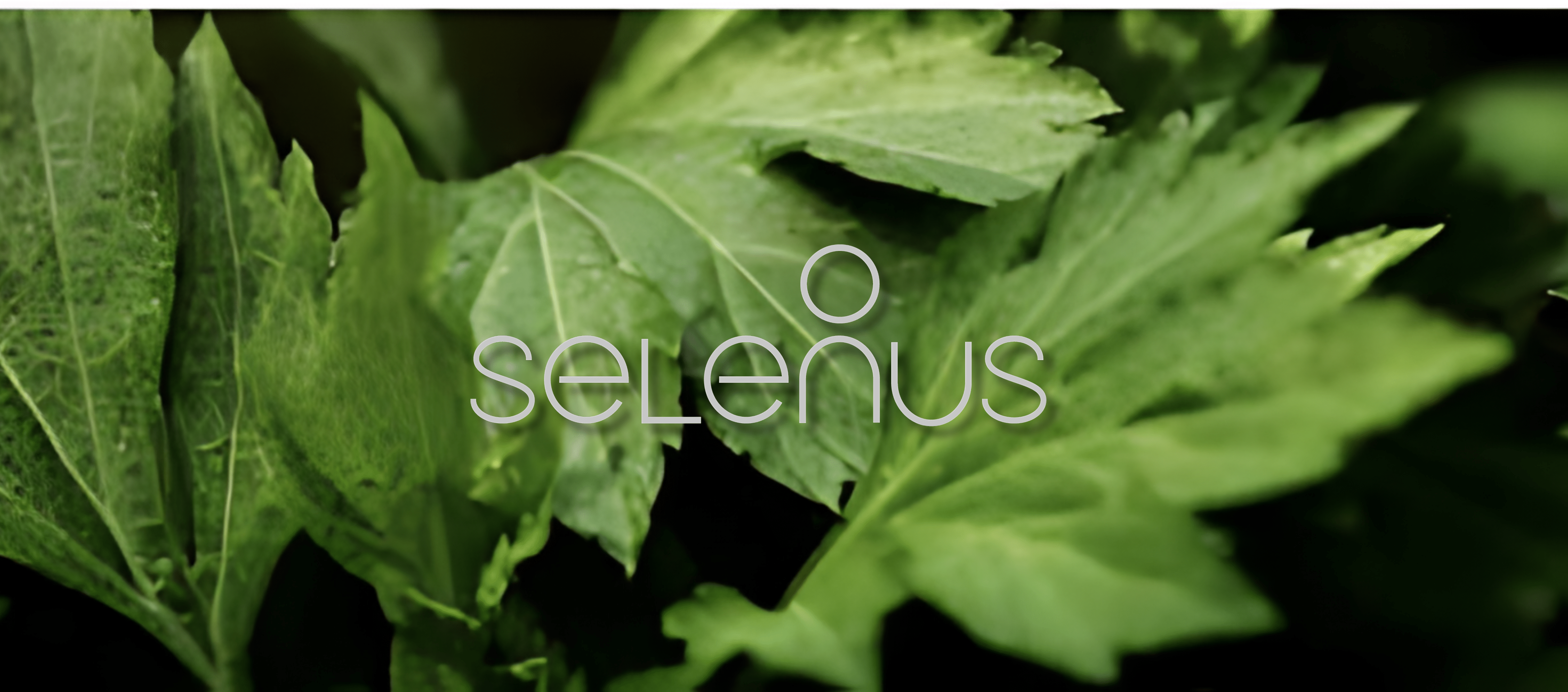 Selenus : L'Harmonie de la Beauté et de la Nature - Kahng