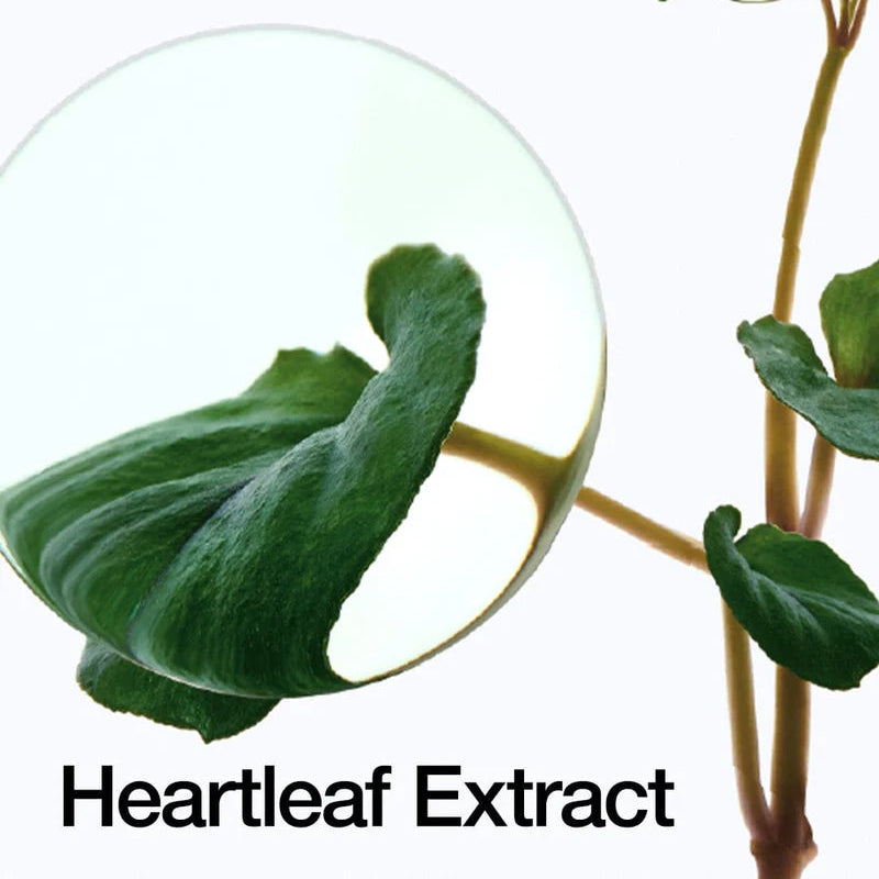 Heartleaf 77% Clearpad (70ea)