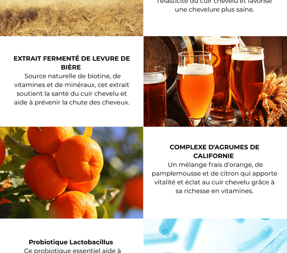 Contently After All! Shampooing Revitalisant (300ml) - Kahng