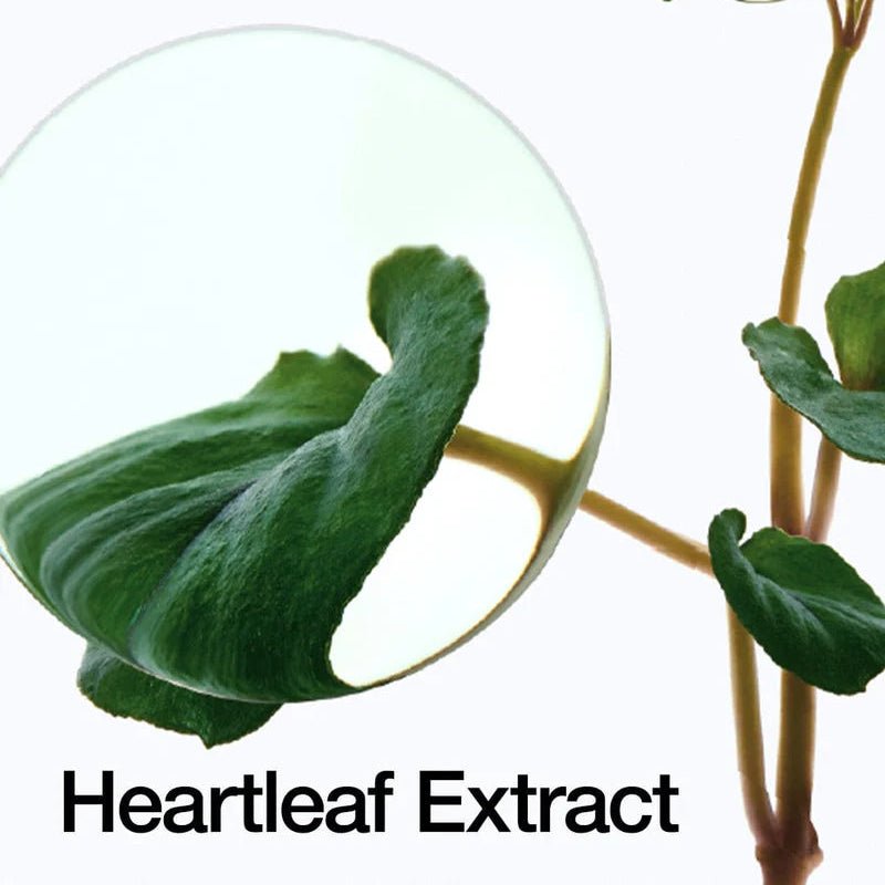 Heartleaf Pore Control Cleansing Oil - Kahng