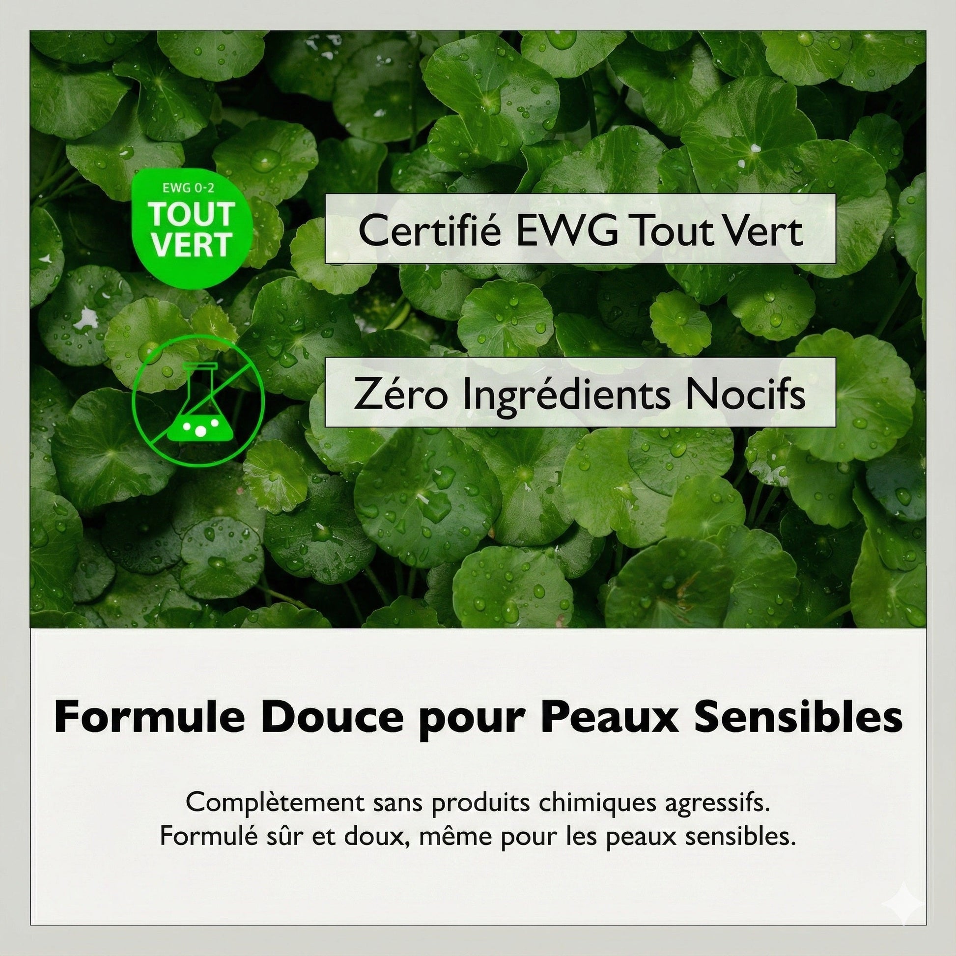 Soin visage Tout - en - Un - Kahng